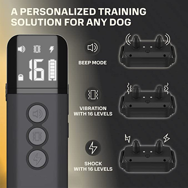 Dog Training Collar