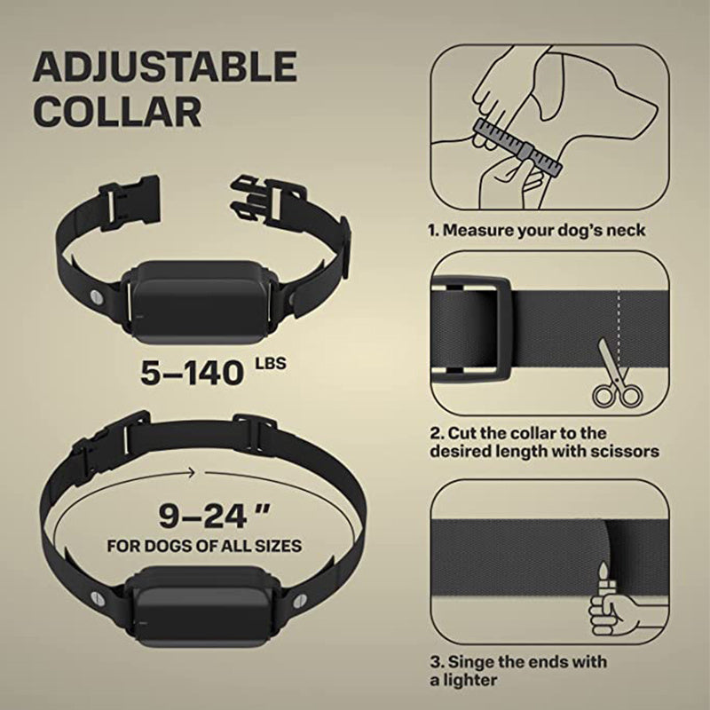 Dog Training Collar