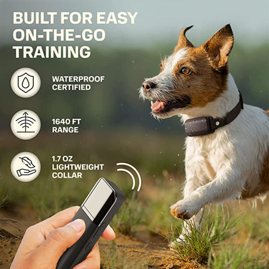 Dog Training Collar