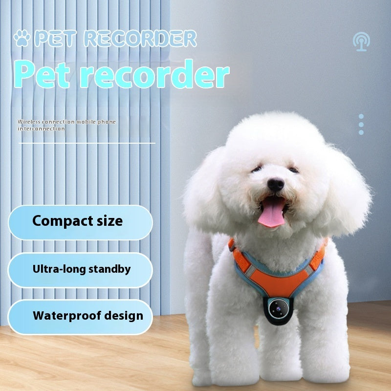 Pet Tracker Collar with Motion & Video Camera for Dogs & Cats