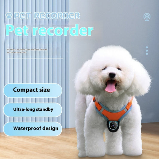 Pet Tracker Collar with Motion & Video Camera for Dogs & Cats