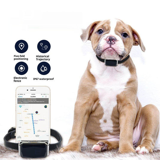 G12 Pet GPS Tracker – Smart Anti-Lost Locator for Cats & Dogs